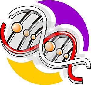 DNA model