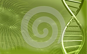 DNA model in green background