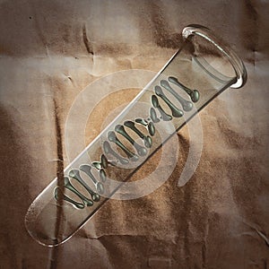 DNA model painted on paper