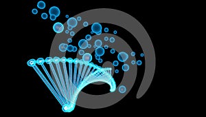 DNA molecular network Molecules of living things