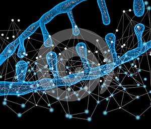 DNA molecular network Molecules of living things