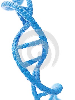 DNA molecule