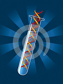 DNA molecule