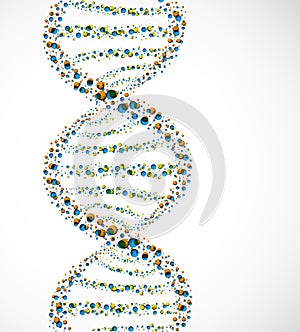 DNA molecule