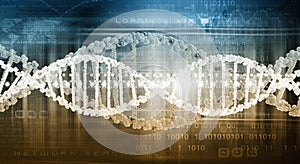 DNA molecule