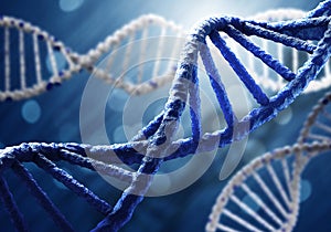 DNA molecule