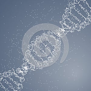 DNA molecule back