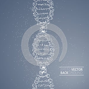 DNA molecule back