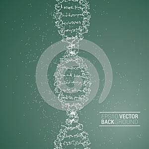 DNA molecule back