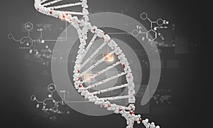 DNA molecule