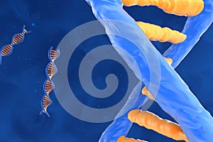 DNA molecule with the double polynucleotide spiral - closeup view 3d illustration photo