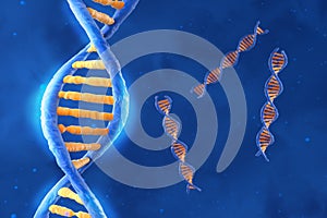 DNA molecule with the double polynucleotide spiral - isometric view 3d illustration photo