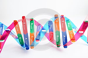 DNA molecule spiral structure model isolated on white background, chromosome and gene chemical science biology