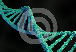 DNA molecule structure. 3d illustration