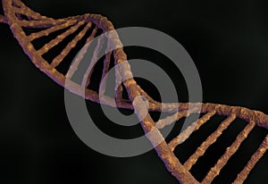 DNA molecule structure. 3d illustration