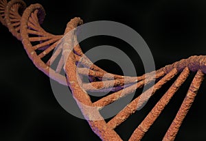 DNA molecule structure. 3d illustration