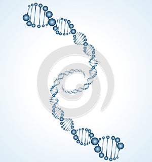 DNA molecule structure