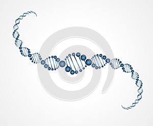 DNA molecule structure