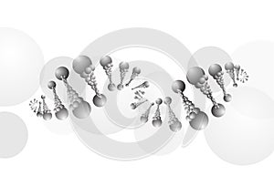 DNA molecule structure