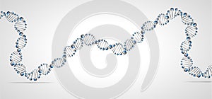 DNA molecule structure