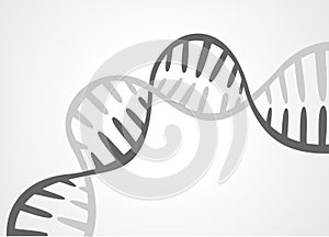 DNA molecule structure