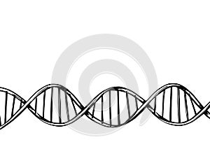 DNA molecule structure background. Genetic and chemistry research. Hand drawn illustration sketch. Isolated vector.