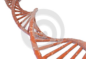 DNA molecule structure isolated in white. 3d illustration