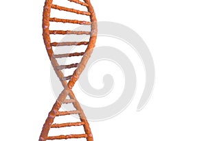 DNA molecule structure isolated in white. 3d illustration