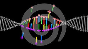 DNA molecule structure repair, editing and manipulation. CRISPR . 3d rendering illustration view 7