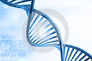 DNA molecules