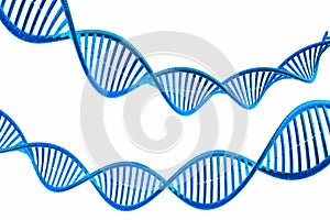 DNA molecules