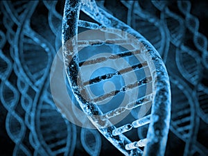 DNA Molecules