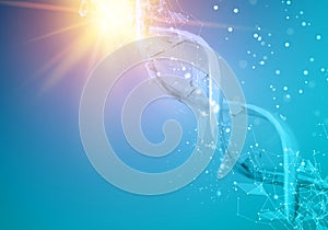 DNA molecules of poligons.