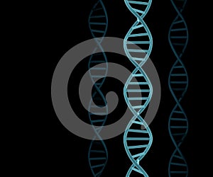 DNA molecules structure