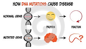 DNA mutations protein affect