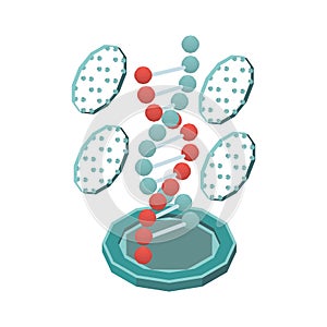 DNA In Nanotechnology Composition