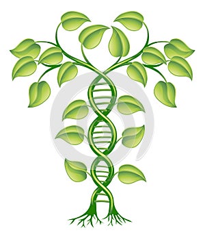 DNA plant concept