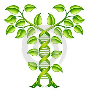 DNA Plant Double Helix Concept