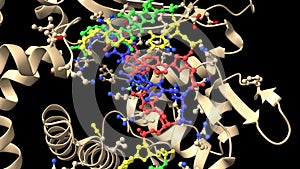 DNA polymerase Î¼ reactant complex, 10 mM Mg2+, at 7.5-45 min