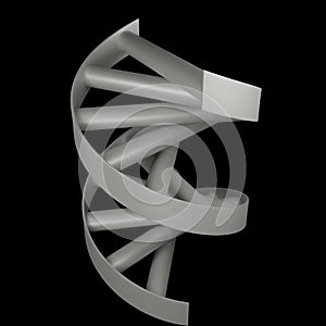 DNA Rendering
