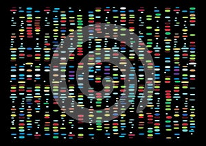 DNA Results