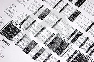 DNA sequence close-up photo