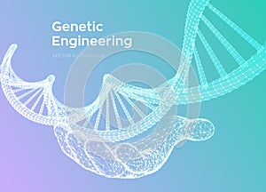 DNA sequence in hand. Wireframe DNA molecules structure mesh. DNA code editable template. Science and Technology concept. Vector