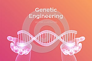 DNA sequence in hands. Wireframe DNA molecules structure mesh. DNA code editable template. Science and Technology concept. Vector