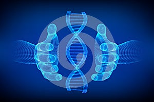 DNA sequence in hands. Wireframe DNA molecules structure mesh. DNA code editable template. Science and Technology concept. Vector
