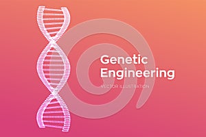 DNA sequence. Wireframe DNA molecules structure mesh. DNA code editable template. Science and Technology concept. Vector