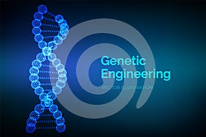 DNA sequence. Wireframe DNA molecules structure mesh. DNA code editable template. Science and Technology concept. Vector illustrat