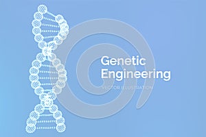 DNA sequence. Wireframe DNA molecules structure mesh. DNA code editable template. Science and Technology concept. Vector illustrat