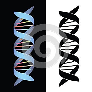 DNA Spiral Helix Isolated Vector Illustration in both Full Color and Black