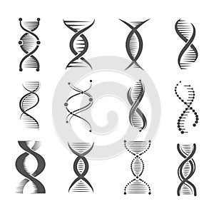 Dna spiral icons. Helix human technology research molecule and chromosome medical and pharmaceutical vector symbols